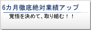 6カ月徹底絶対業績アップ